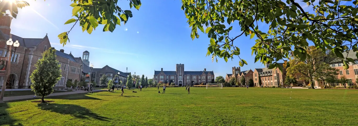 mudd field