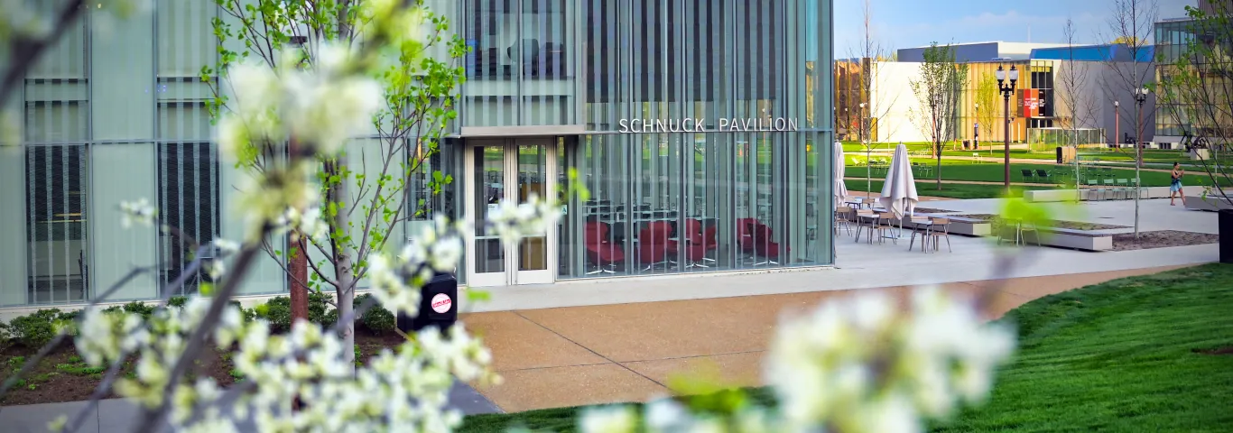 Environmental Studies Senior Awards, May 2020