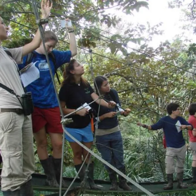 students doing ropes course