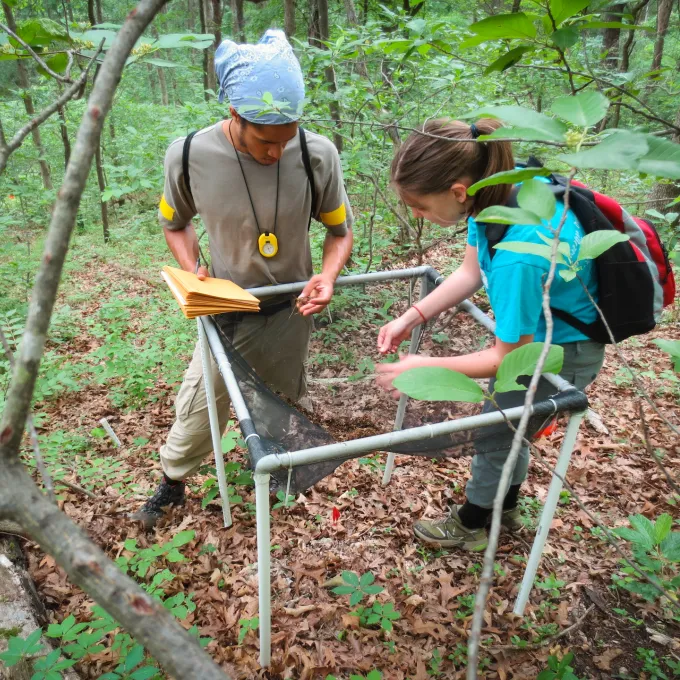 students working in woods