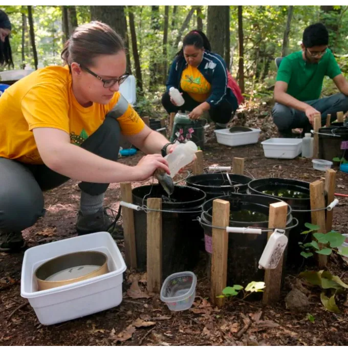 students working on environmental projects outdoors